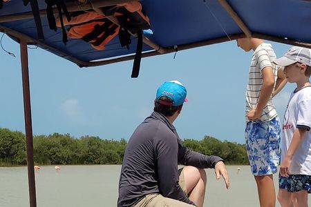 Celestun, Flamenco Adventure, from Merida