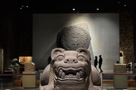 Museum of Anthropology and Chapultepec Castle with Specialists