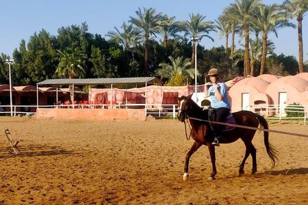 Abusir Horseback Riding Adventure and Fifth Dynasty Pyramids Tour