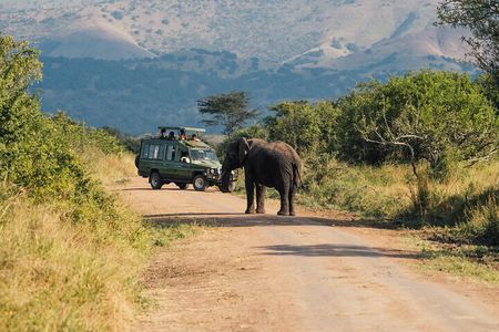 3 Day luxury Murchison Falls and Ziwa Rhino Safari 