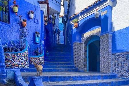 Chefchaouen Blue City Shared Day Trip with Guide and Transport
