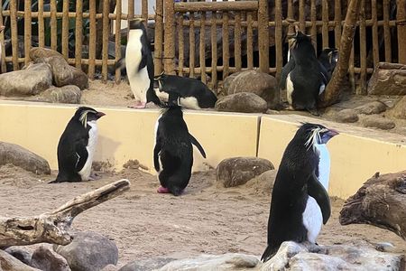 Robben Island & Aquarium Tour with Tickets & Transfers Included