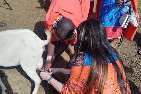 Maasai Village Visit and Cultural Experience Tour with entry fee
