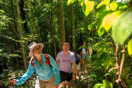Airlie Waterfalls & Rainforest Bushwalk Eco Adventure