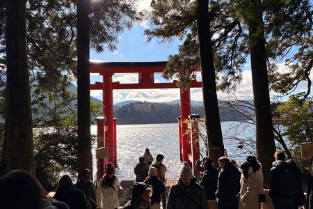 Hakone Hot Spring & Lake Ashi Cruise Private Car Tour from Tokyo
