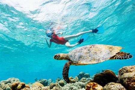 Akumal Snorkeling and Underground River - Private Tour