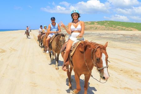 Horseback Riding Adventure and Tequila Tasting in Los Cabos