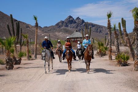 Horseback Riding to the beach.