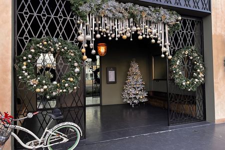 Private Bespoke Cart Tour: Holiday Lights