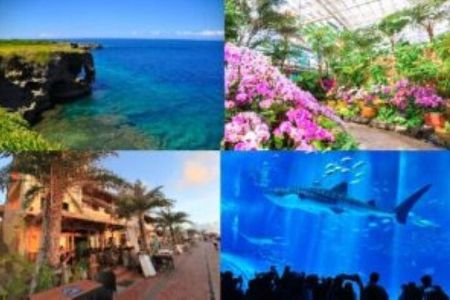 Okinawa Hip-hop Bus B - 1 Course Tour (Okinawa Churaumi Aquarium)