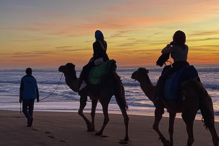 Sunset Camel Ride in Tangier with Cap Spartel & Hercules Caves
