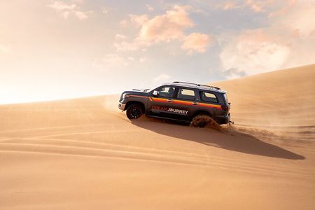 Dubai Desert Safari - Premium BBQ Dinner, Camel Ride & Shows