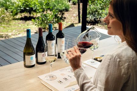 Official Concha y Toro Marques de Casa Concha Wine Experience
