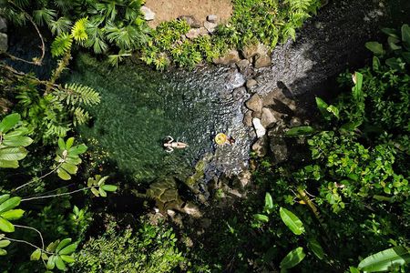 Natural Springs of Kuru Jungle Springs and Trails