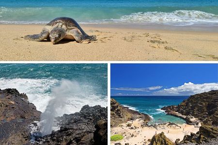 GROUP Tour- All Inclusive Circle Island With Turtle Beach