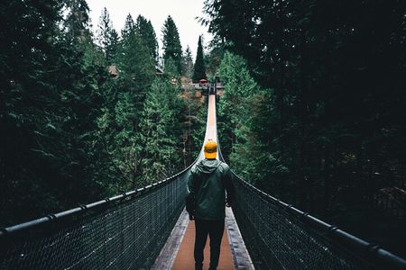 Small Group Vancouver Tour with Capilano Suspension Bridge