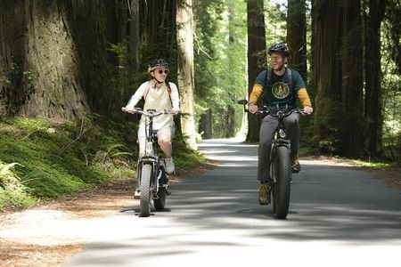 E-Bike Tour in the Avenue of the Giants Redwood Forests - 4 Hours