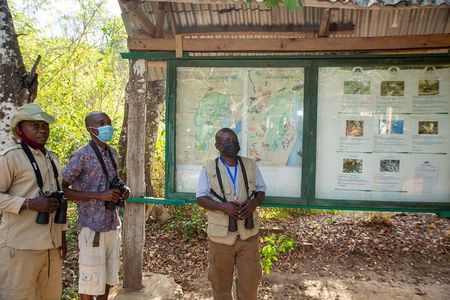 3 Days Diani Nature and Birdwatching Tour in Kenya