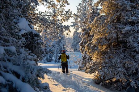 Levi: Snowshoeing adventure in the National Park