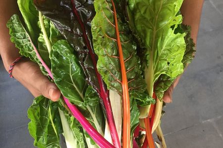 Jean Talon Farmer's Market Tour x Michelin-Trained Chef