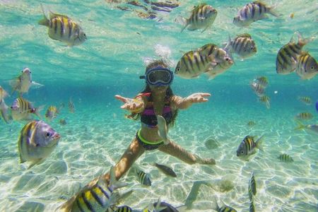 Cayo Arena: Paradise Island and Mangroves Tour Lunch