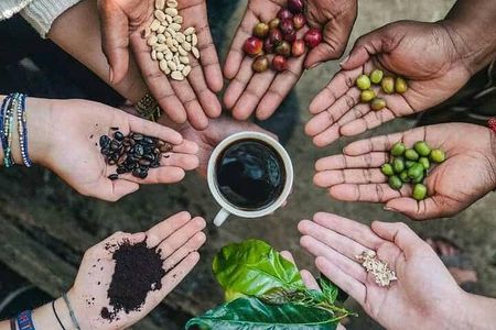 Half Day Materuni Waterfall and Coffee Tour from Moshi