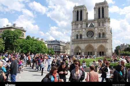 Paris Origins Île de la Cité Walking Tour With Crypt Access
