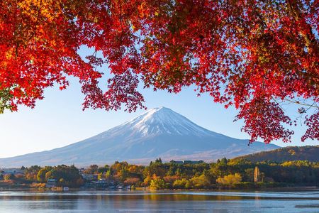 Mt. Fuji Autumn leaves And Heritage Village Trip Tokyo 