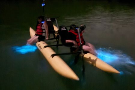 Bioluminescent Bay Chiliboats Waterbike Tour in La Parguera
