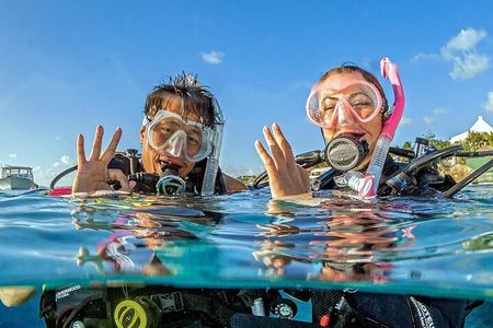 Open Water Diver Course