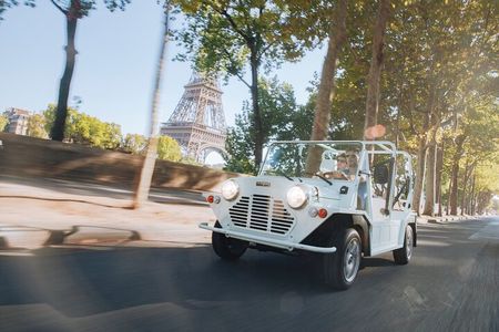 Private 1 - hour Tour: Eiffel Tower,Champs-Elysées Arc DE Triomphe