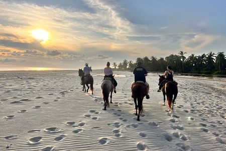 Sunset by horse (river and beach)