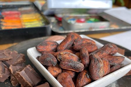 Chocolate and Watercolor Experience in Puerto Viejo