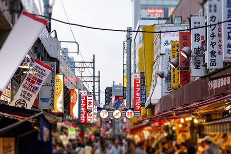 Tokyo Ueno Food & Nature & Local town Tour: 10 Dishes+ Drinks