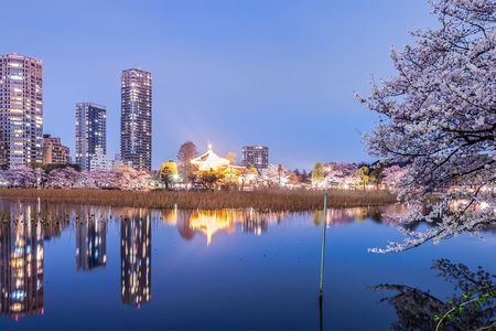 Tokyo Ueno Food & Nature & Localtown Tour: 15 Dishes+3 Drinks