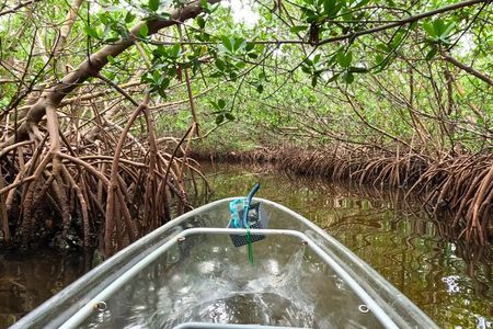 2 Hour Clear Kayak Tour at Emerson Point Preserve