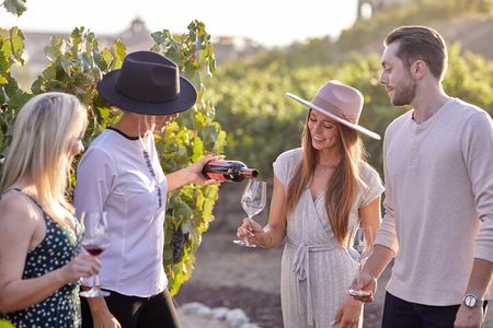 Europa Village Wine Tour, Food Pairing & Wine Blending Experience