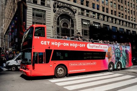 New York City 3-Hour Downtown Hop-On Hop-Off Bus Tour