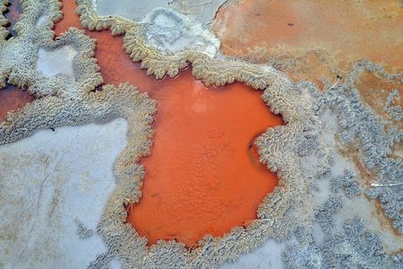 From Auckland, Rotorua Waiotapu and Maori Village Tour with Haka 