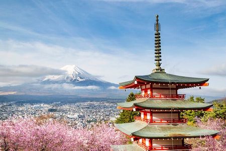 From Tokyo : Mount Fuji Customizable tour in private car