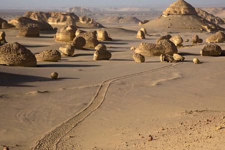 Safari El Fayoum Oasis Waterfalls and Valley of the Whales