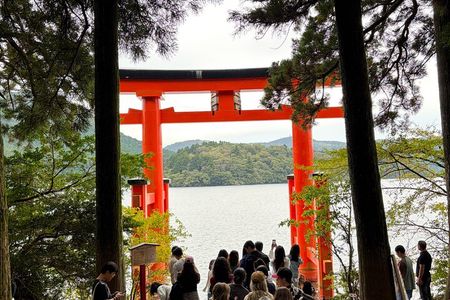 Hakone Hot Spring & Lake Ashi Cruise Private Car Tour from Tokyo