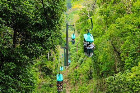 Rainforest Aerial Tram Tour in Jaco, Costa Rica