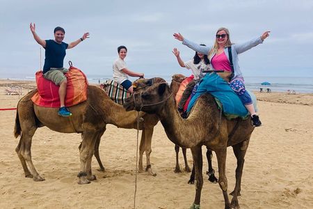 4 Hours Tangier Highlights, Camels and Old Town