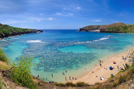 Sights & Bites Ultimate Oahu Grand Circle Island Tour