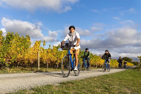 Morning Guided with Afternoon Self-Guided Biking Wine Tour