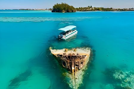 Private Bermuda Historic Sightseeing Cruise With Swim Stops