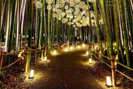 Explore Kyoto | Private Tour - Local English Driver(guide option)