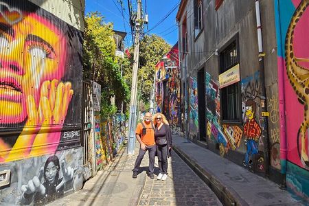 Most complete Tour to Valparaíso + Casablanca Valley Winery(small group tour)
