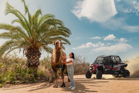 2x1 Combo UTV Side by Side Experience and Camel Ride in Los Cabos